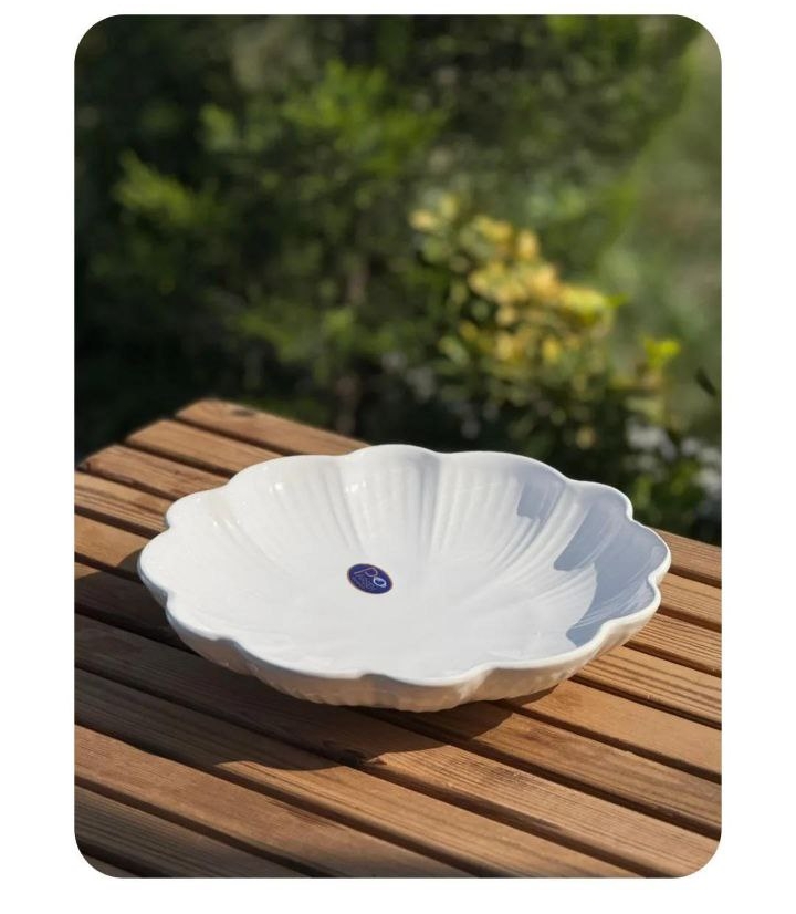 دیس سرامیکی کد 78